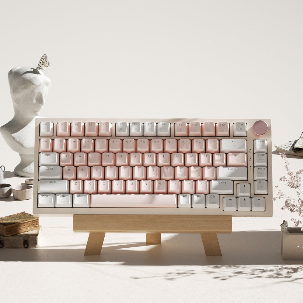 VividKeys: The Colorful Gaming & Home Office Keyboard